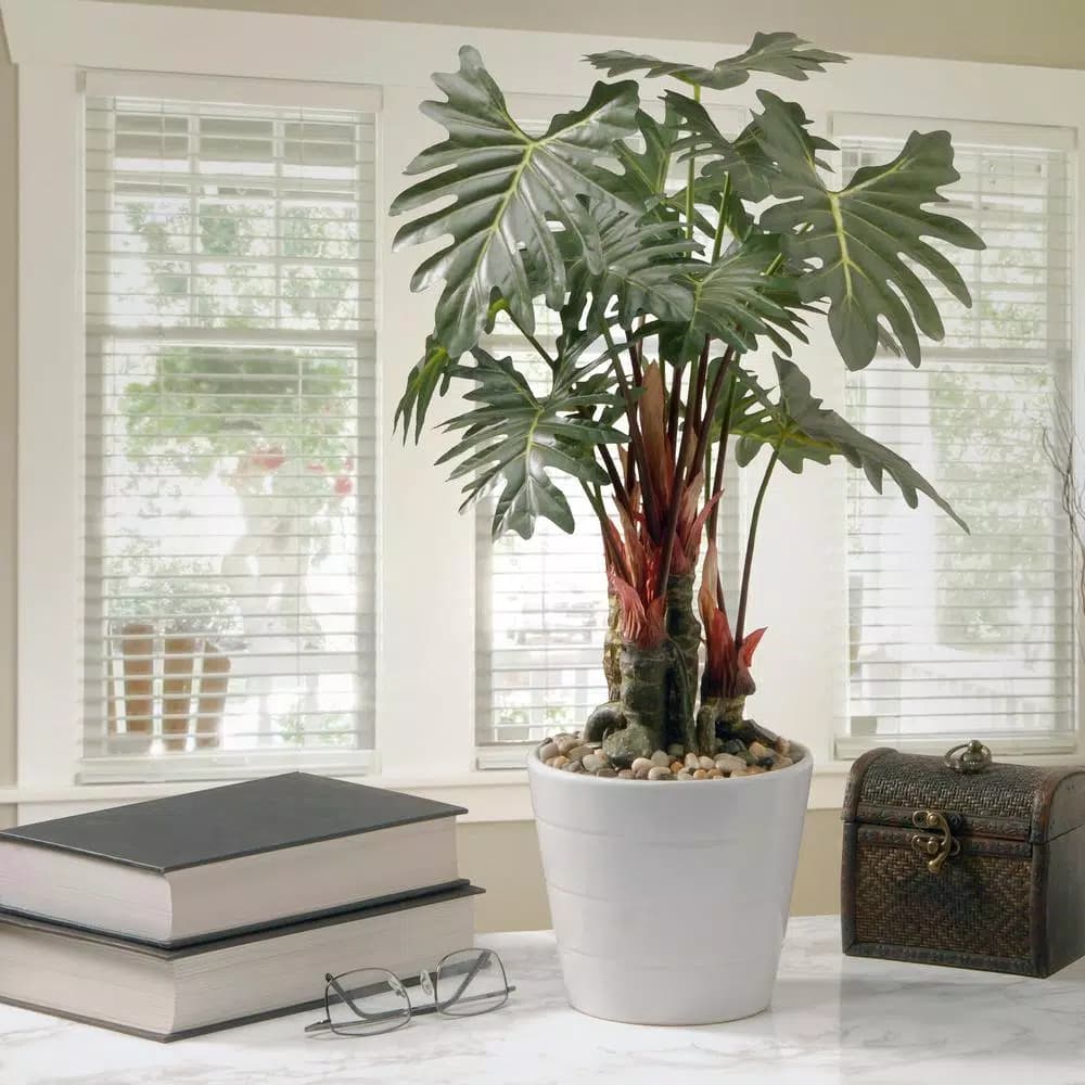 National Tree Company 21 in. Artificial Philodendron Plant in White Ceramic Pot
