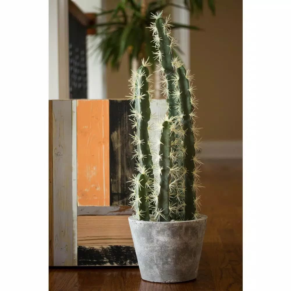 Nearly Natural Decorative Tall Cactus Collection with Modern Cement Planter and White River Rocks