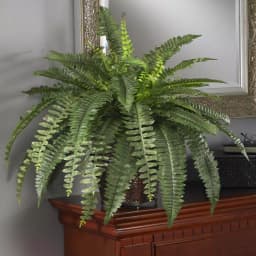 Nearly Natural 23 in. Boston Fern Silk Plant with Wicker Basket thumbnail 2