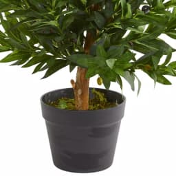 Nearly Natural 35 in. Artificial Olive Cone Topiary Tree with UV-Resistant Green Foliage, Indoor/Outdoor thumbnail 3