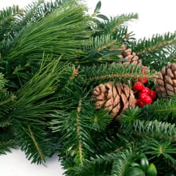 VAN ZYVERDEN 24 in. Live Fresh Cut Blue Ridge Mountain Mixed Christmas Wreath with Cones and Berries thumbnail 3