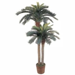 Nearly Natural 6 ft. and 4 ft. Sago Palm Double Potted Silk Tree in Brown Wicker Basket thumbnail 1