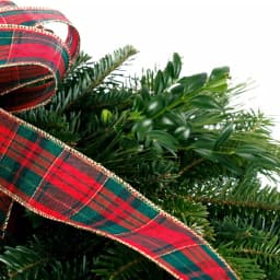 VAN ZYVERDEN 16 in. Live Fresh Cut Blue Ridge Mountain Mixed Evergreen Christmas Wreath with Red Bow thumbnail 2