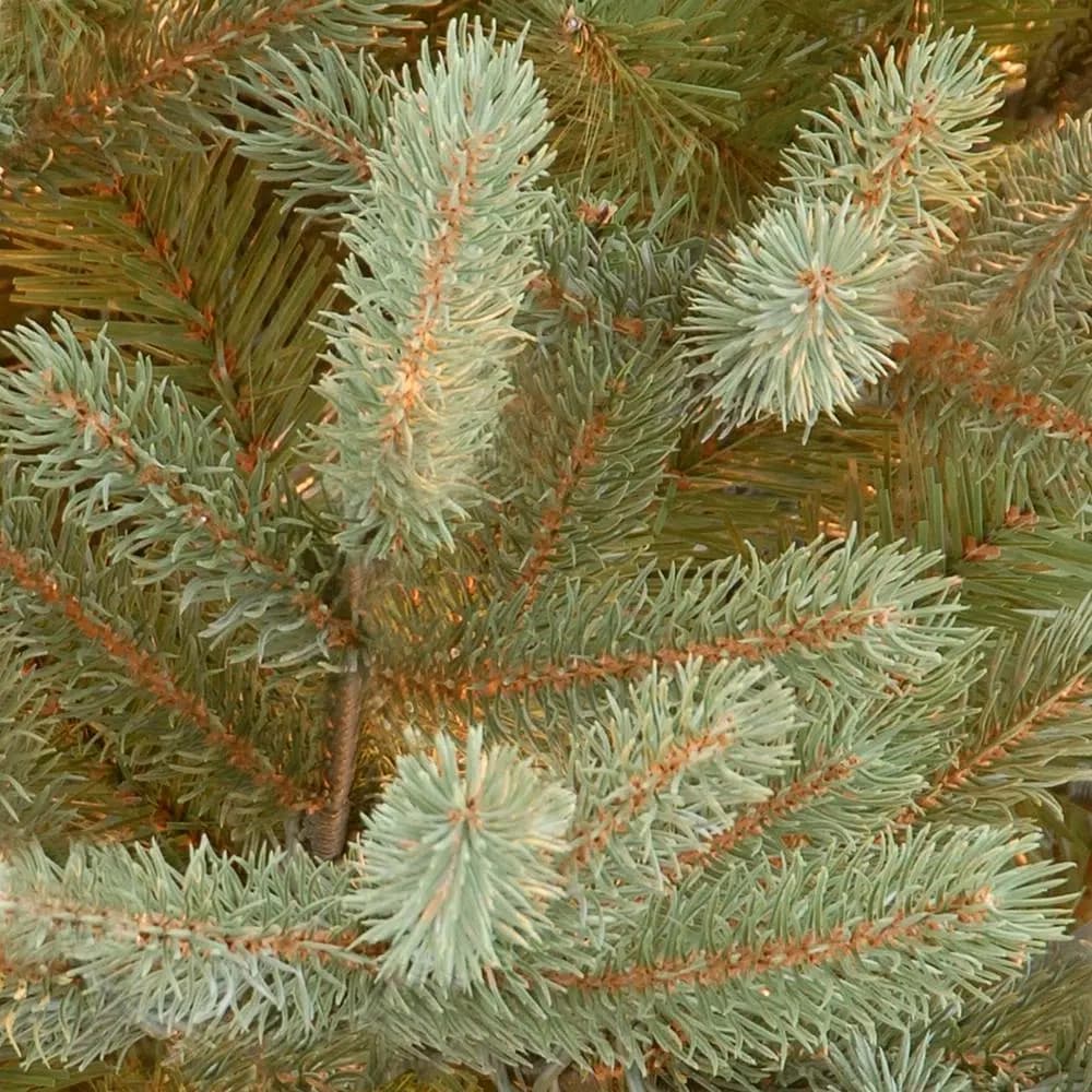 National Tree Company 7.5 ft. Feel Real Norway Spruce Artificial Christmas Tree, Unlit