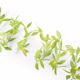 Unbranded Green Leaf LED Garland Set of 6 - 10 ft. Warm White Micro Lights thumbnail 1