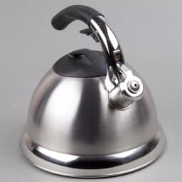 Creative Home Avalon 12-Cup Stainless Steel Whistling Tea Kettle with Lever Pour System, Silver thumbnail 5