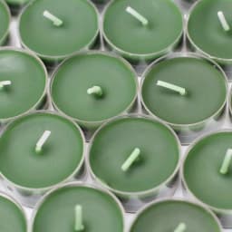 Zest Candle Hunter Green Tealight Candles, 1.5 in. Diameter, 50-Pack thumbnail 2