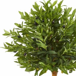 Nearly Natural 34 in. Artificial Olive Topiary Tree - UV Resistant Indoor/Outdoor Greenery thumbnail 2