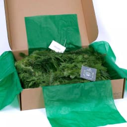 VAN ZYVERDEN 25 ft. Fresh Cut Pacific Northwest Douglas Fir and Western Red Cedar Mix Coil Garland thumbnail 5