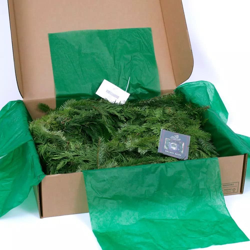 VAN ZYVERDEN 25 ft. Fresh Cut Pacific Northwest Douglas Fir and Western Red Cedar Mix Coil Garland
