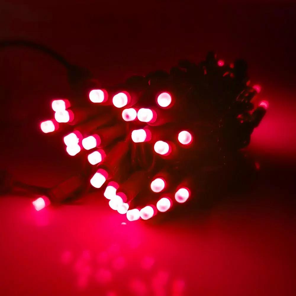 HOLIDYNAMICS HOLIDAY LIGHTING SOLUTIONS 50-Light RGB LED String Lights, 5 mm Frosted Bulbs, 4 in. Spacing, Green Cord