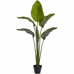 Nearly Natural 63 in. UV Resistant Indoor/Outdoor Artificial Travelers Palm Tree with Black Pot thumbnail 1