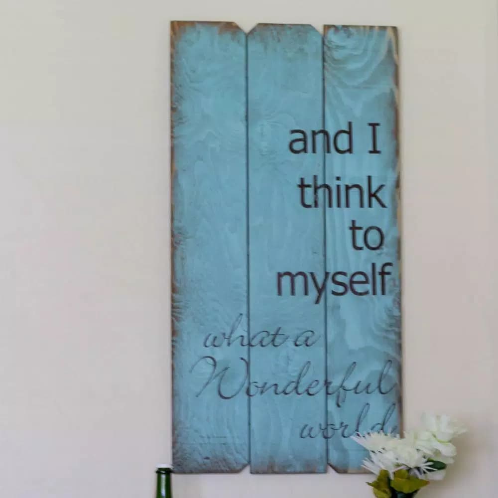 Unbranded Boulder Innovations Wonderful World 18 in. x 36 in. Wood Wall Art Sign