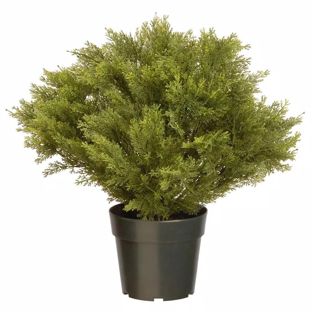 National Tree Company 24 in. Artificial Globe Juniper Bush with Green Pot
