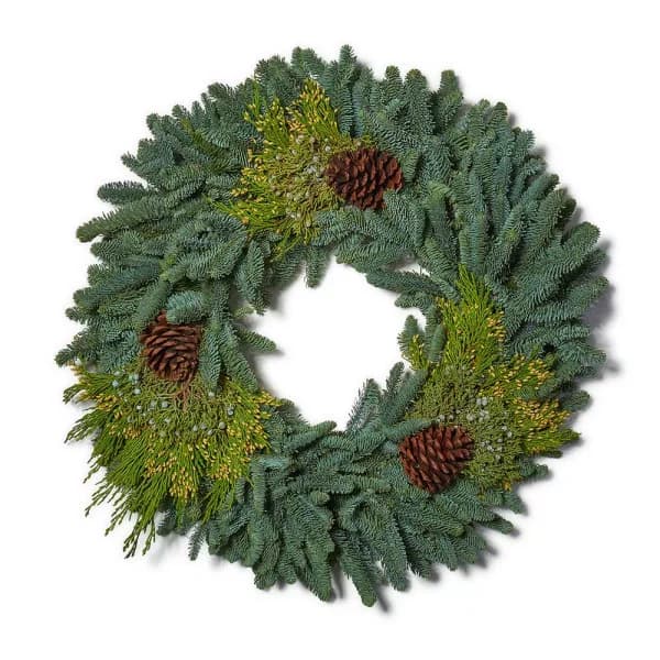 VAN ZYVERDEN 20 in. Live Fresh Cut Pacific Northwest Mixed Christmas Wreath with Pine Cones