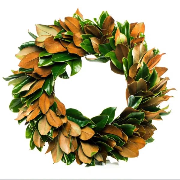 VAN ZYVERDEN 24 in. Fresh Magnolia Christmas Wreath - Natural Greenery