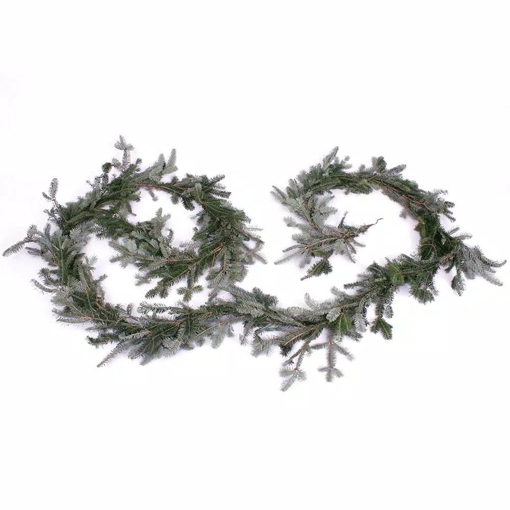 VAN ZYVERDEN 12 ft. Fresh Cut Blue Ridge Mountain Fraser Fir Coil Holiday Garland