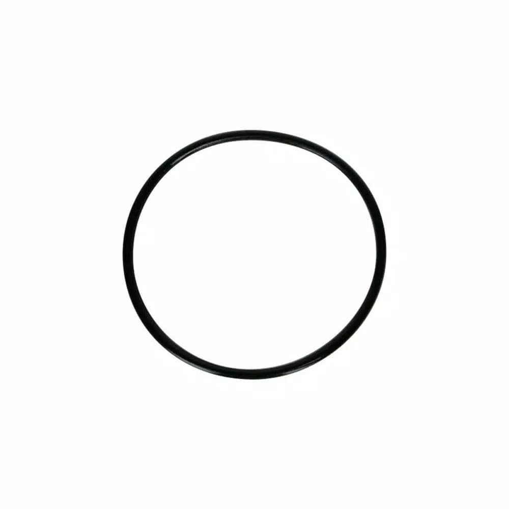 ReplacementBrand OR-100 Lubricated O-Ring for Big Blue 10 in. and 20 in. Whole House Water Filtration Systems