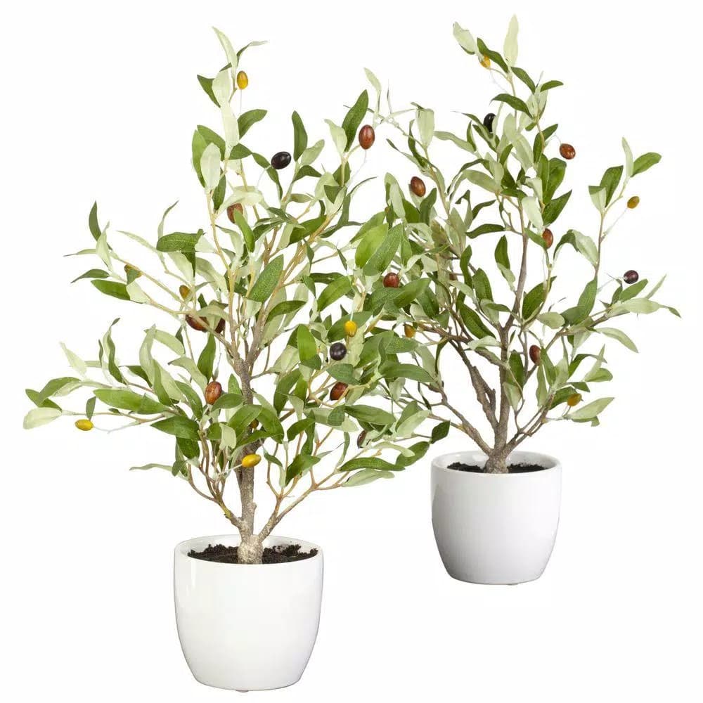 Nearly Natural 18 in. Green Olive Silk Tree with White Vase (Set of 2)