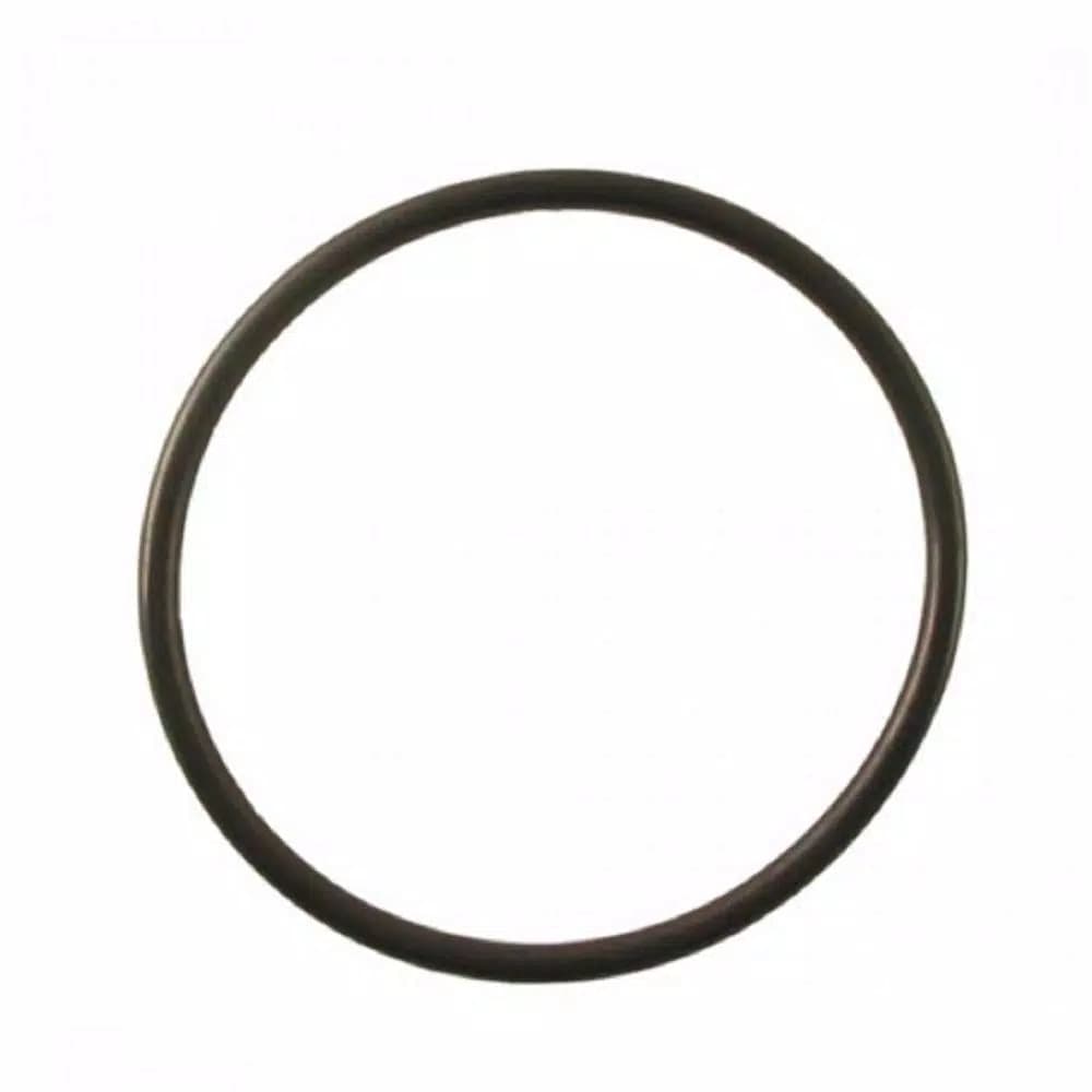Pentek OR-BB Replacement O-Ring for Filtration Housing