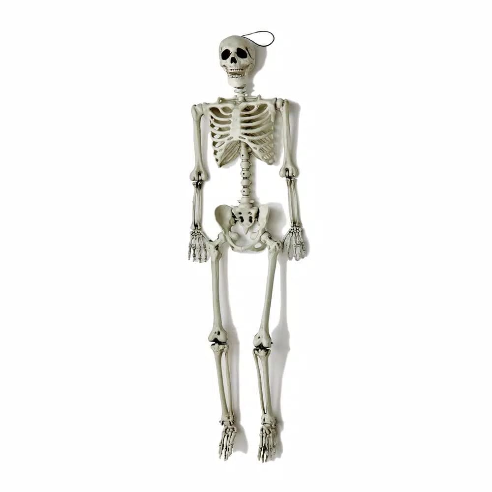 Worth Imports 60 in. Life Size Hanging Skeleton Halloween Decor