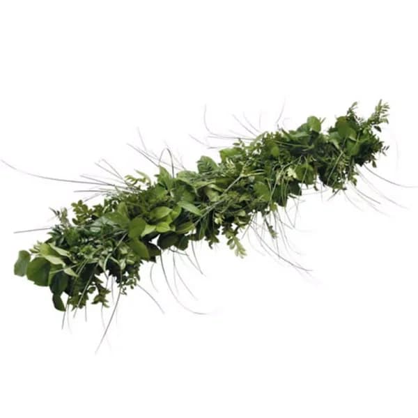 VAN ZYVERDEN 6 ft. Fresh Cut Pacific Northwest Deluxe Evergreen Holiday Garland Mix Coil Runner