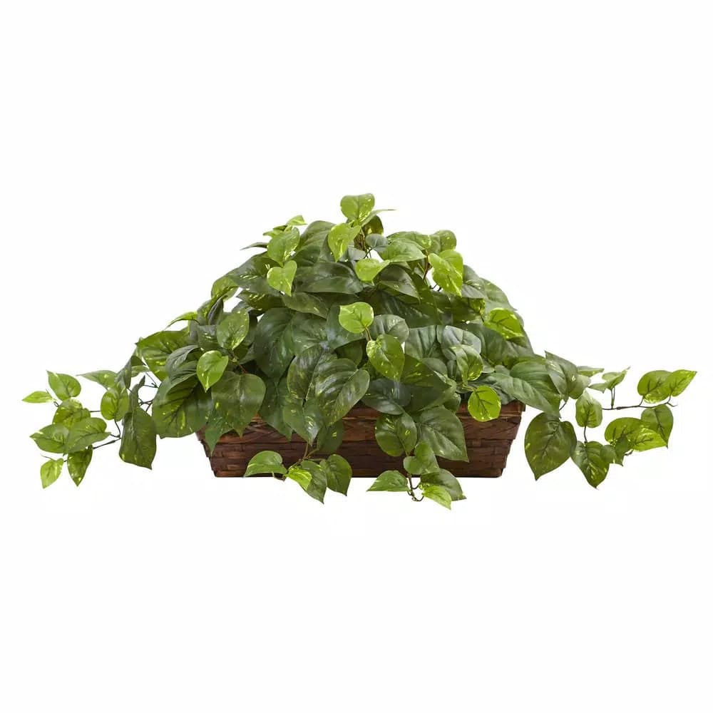 Nearly Natural 15 in. Artificial Pothos Plant with Brown Wicker Ledge Basket