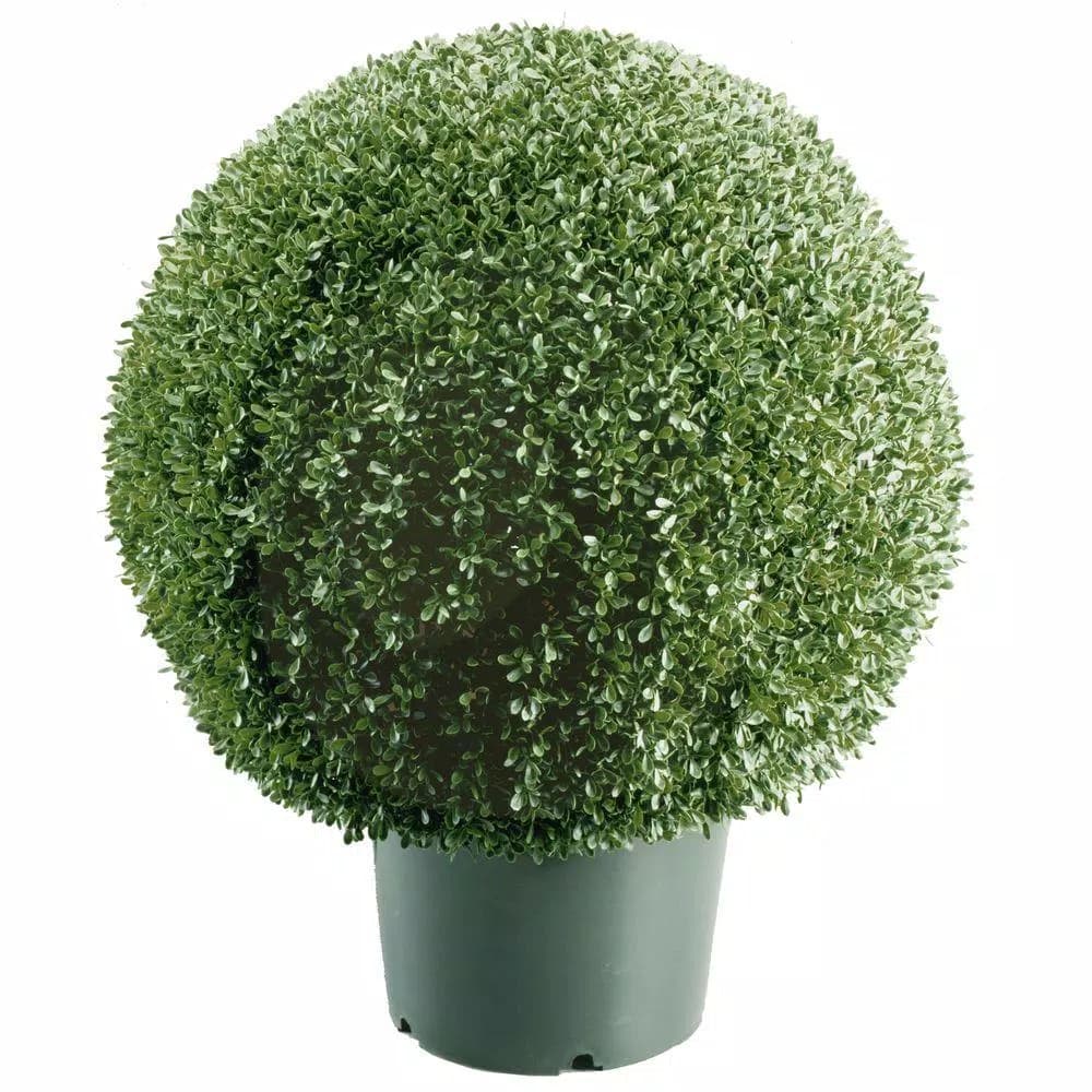 National Tree Company 22 in. Mini Boxwood Ball Artificial Topiary Tree in 9 in. Round Green Growers Pot