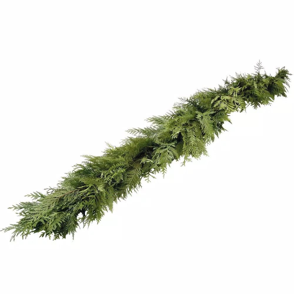 VAN ZYVERDEN 10 ft. Fresh Cut Pacific Northwest Western Red Cedar Coil Garland