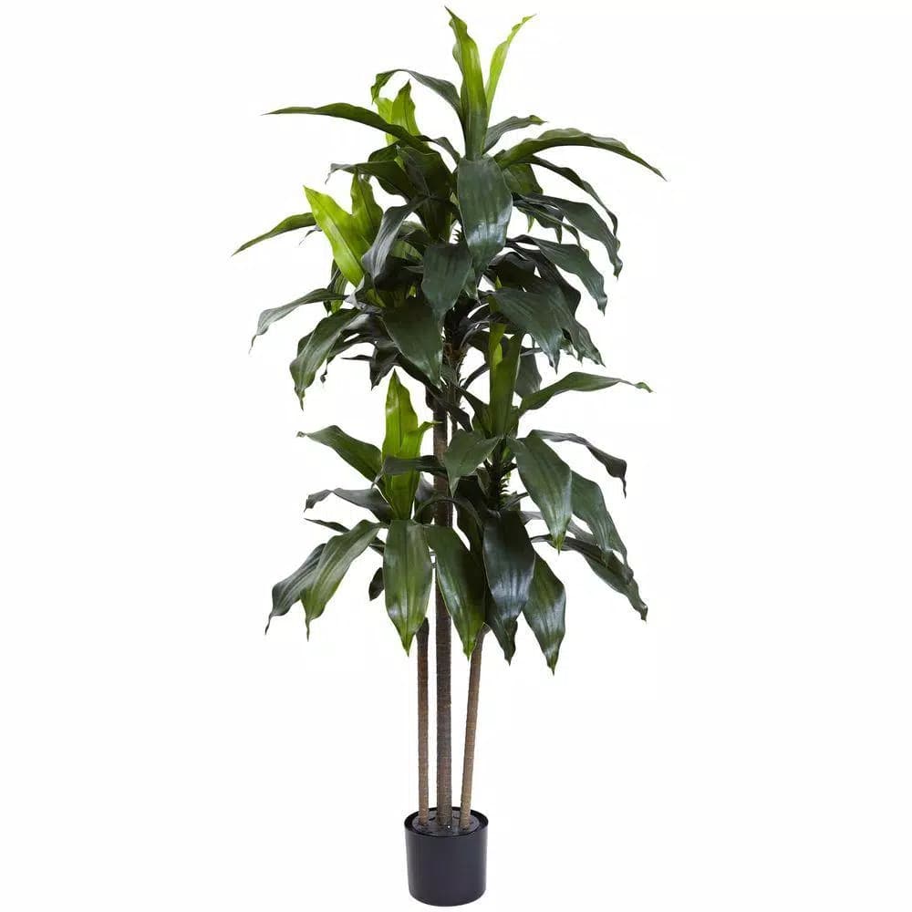 Nearly Natural 5 ft. UV Resistant Dracaena Plant with Black Pot - Indoor/Outdoor Artificial Tree