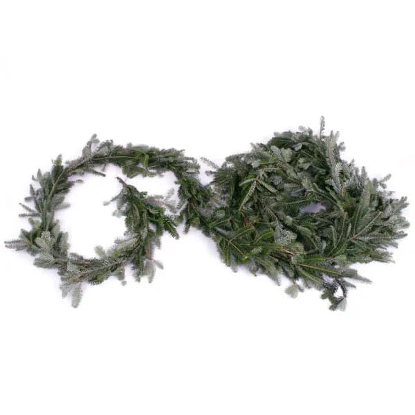 VAN ZYVERDEN 25 ft. Live Fresh Cut Blue Ridge Mountain Fraser Fir Holiday Garland