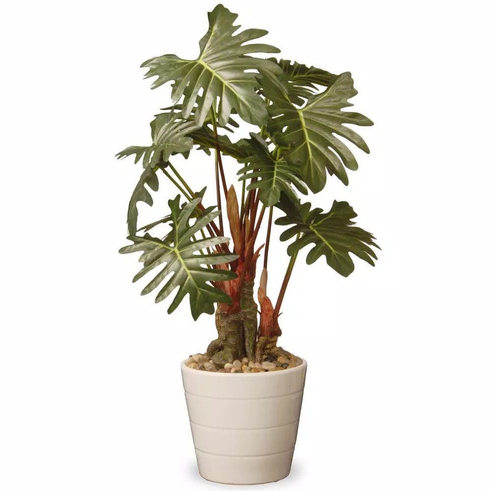 National Tree Company 21 in. Artificial Philodendron Plant in White Ceramic Pot