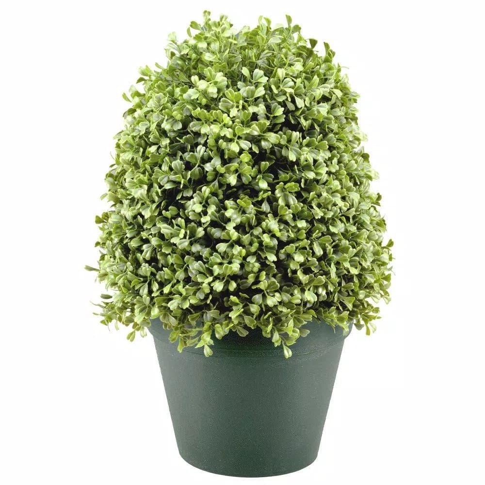 National Tree Company 15 in. Artificial Boxwood Bush in Dark Green Round Plastic Urn