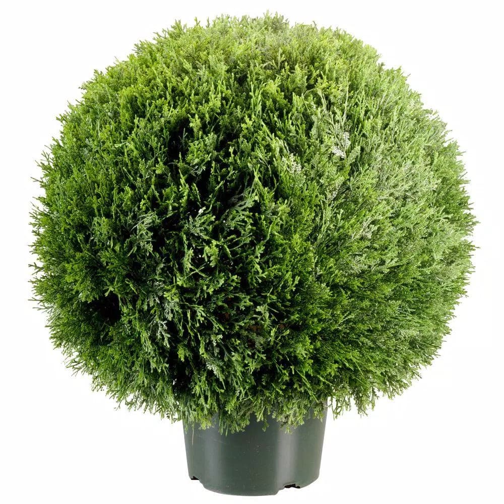 National Tree Company 24 in. Artificial Cedar Pine Topiary in 9 in. Round Green Growers Pot
